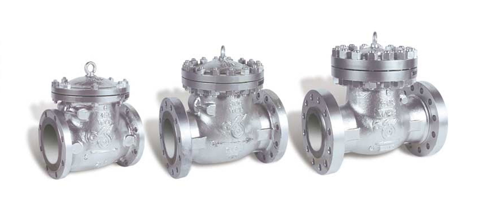 Check Valve in Pune